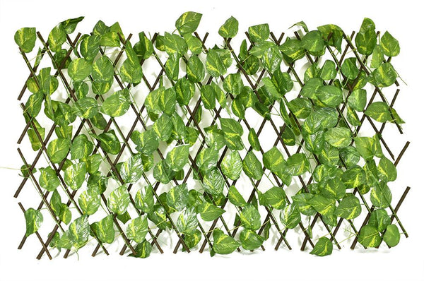 ENREDADERA PLEGABLE HOJAS OVAL 70cm REF: 220-4 VERDE unidad