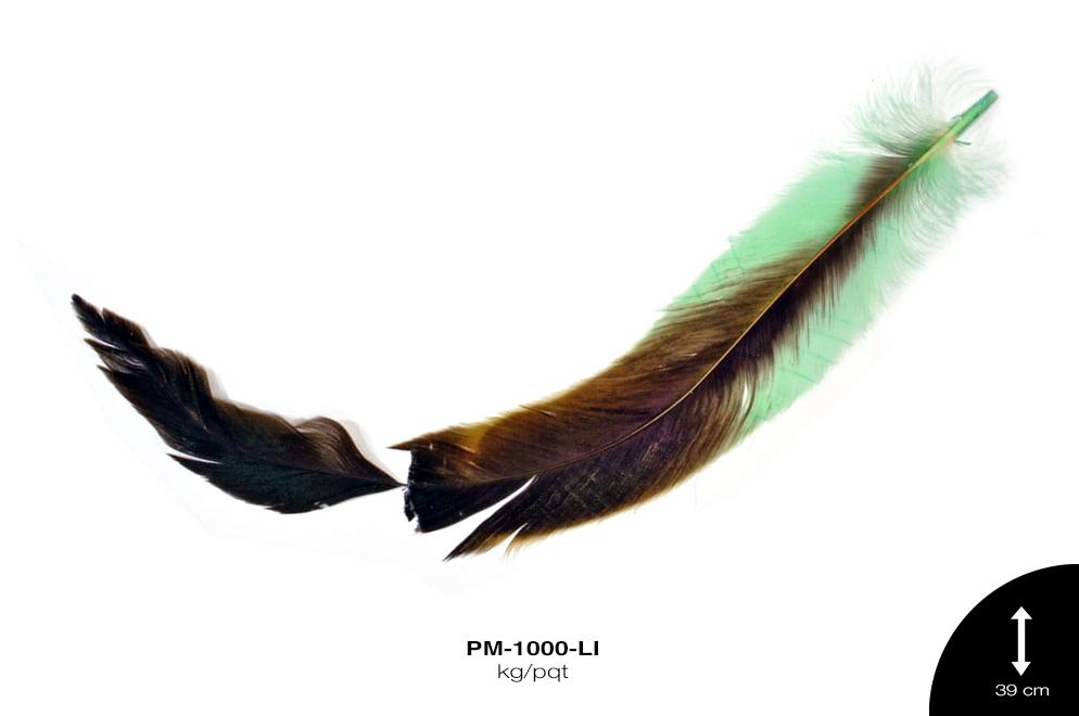 PLUMA FAISAN REF: 48 LIMON Kg