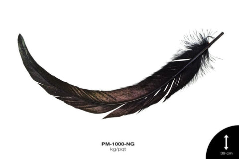 PLUMA FAISAN REF: 48 NEGRO Kg