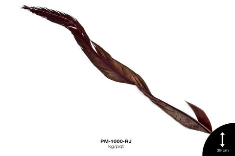 PLUMA FAISAN REF: 48 ROJO Kg