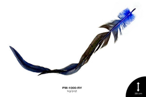 PLUMA FAISAN REF: 48 AZUL REY Kg