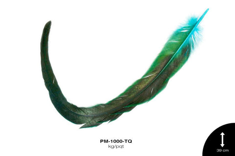 PLUMA FAISAN REF: 48 TURQUESA Kg