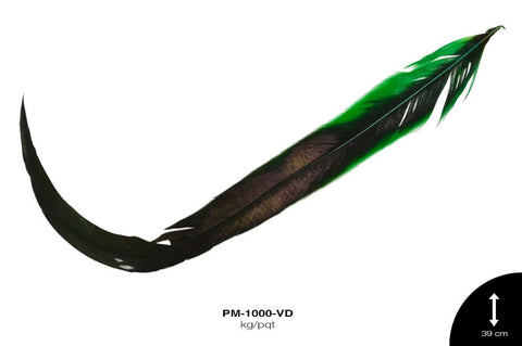 PLUMA FAISAN REF: 48 VERDE Kg