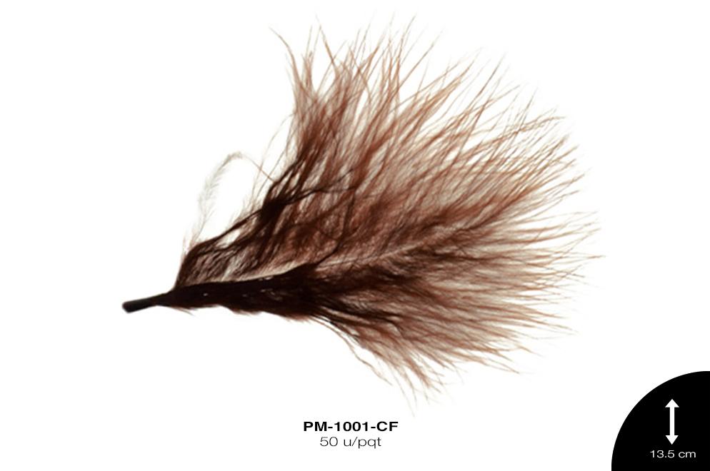 PLUMA REF: 1 CAFÉ 50 u/pqt