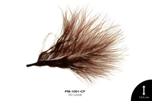 PLUMA REF: 1 CAFÉ 50 u/pqt