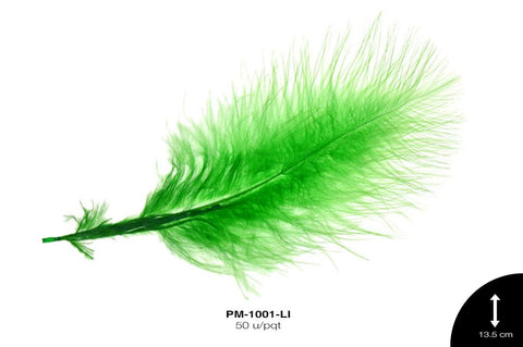 PLUMA REF: 1 LIMON 50 u/pqt