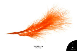 PLUMA REF: 1 NARANJA 50 u/pqt