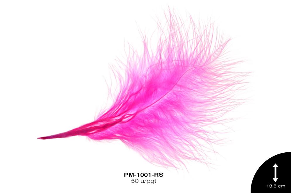 PLUMA REF: 1 ROSA 50 u/pqt