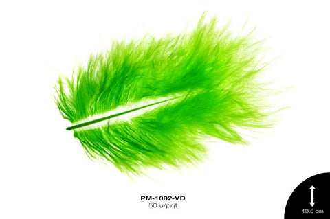 PLUMA REF: 2 VERDE 50 u/pqt