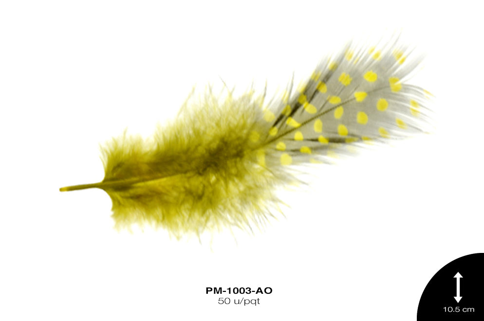 PLUMA GALLINETA AMARILLO 50 u/pqt