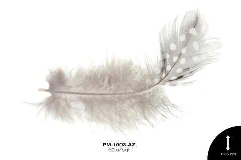 PLUMA GALLINETA BLANCO 50 u/pqt