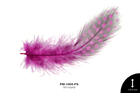 PLUMA GALLINETA FUCSIA 50 u/pqt