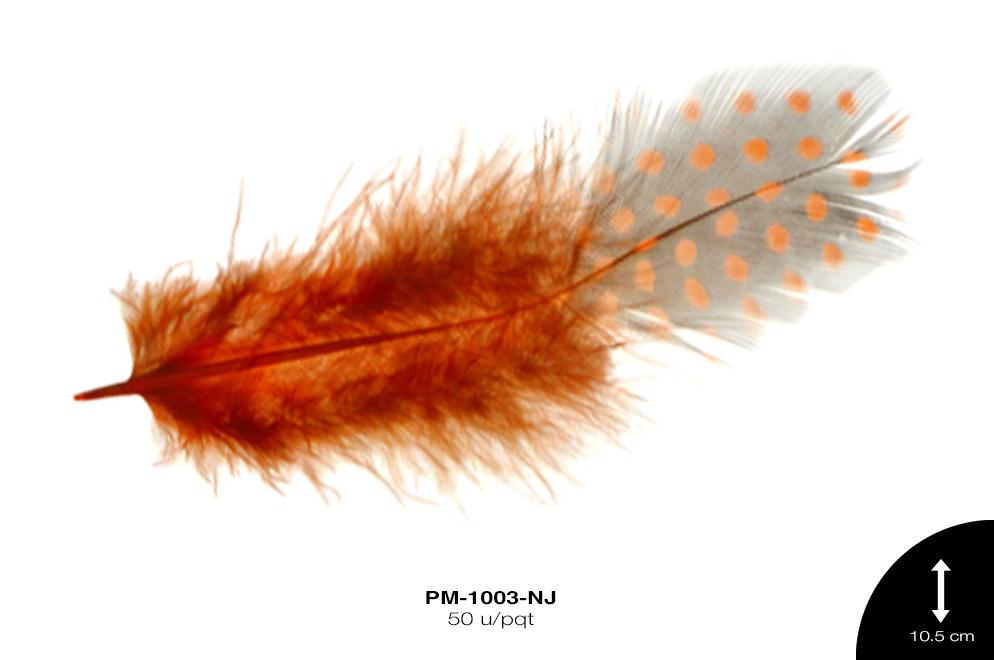 PLUMA GALLINETA NARANJA 50 u/pqt