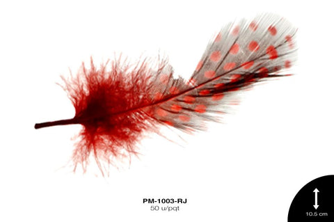 PLUMA GALLINETA ROJO 50 u/pqt