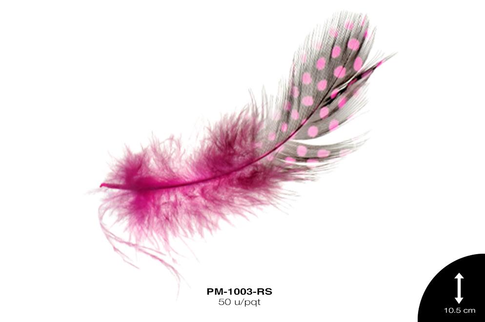 PLUMA GALLINETA ROSA 50 u/pqt