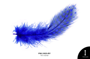 PLUMA GALLINETA AZUL REY 50 u/pqt