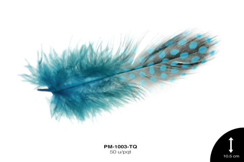 PLUMA GALLINETA TURQUESA 50 u/pqt