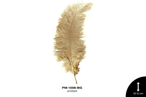 PLUMA AVESTRUZ SPAD ALA BEBE GDE /OSTRICH BABY WING 23"" - U