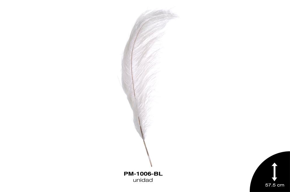 PLUMA AVESTRUZ SPAD ALA BEBE GDE /OSTRICH BABY WING 23"" - U