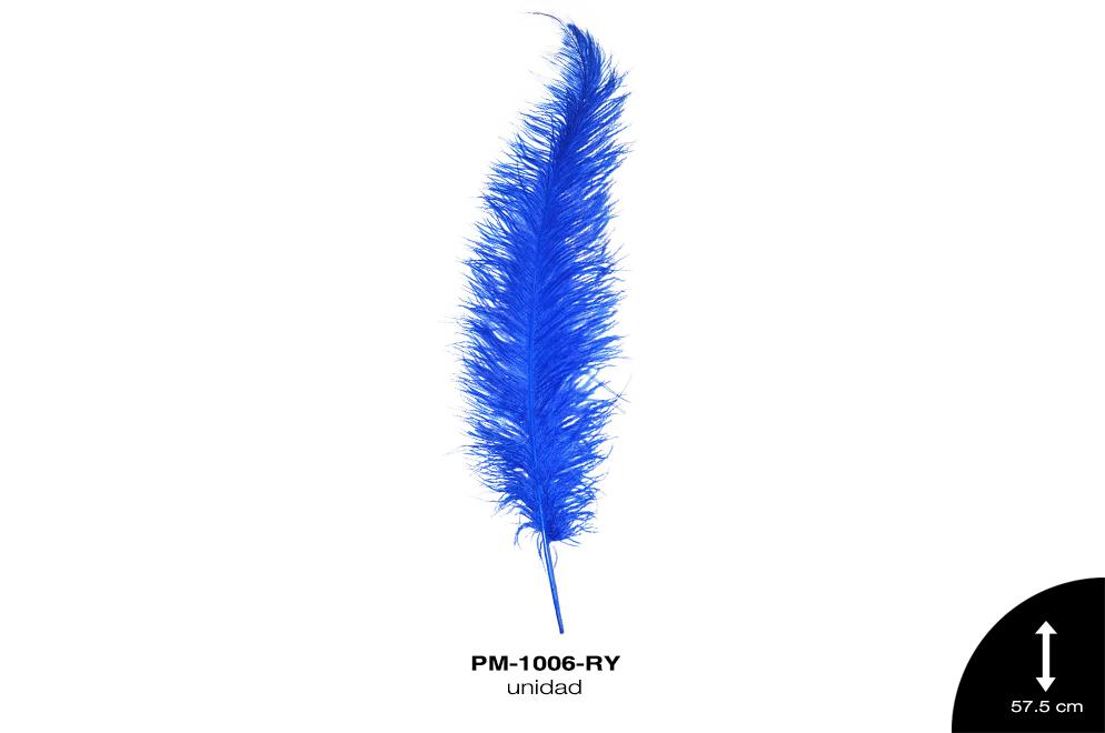 PLUMA AVESTRUZ SPAD ALA BEBE GDE /OSTRICH BABY WING 23"" - U