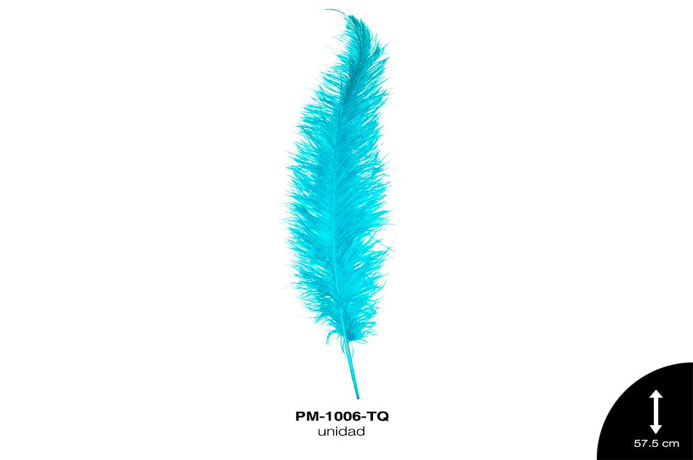 PLUMA AVESTRUZ SPAD ALA BEBE GDE /OSTRICH BABY WING 23"" - U