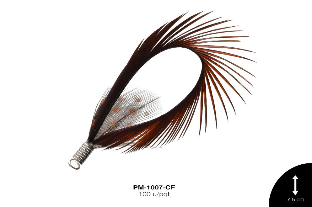 PLUMA OVAL-GALLINETA HERRAJE CAFÉ 100 u/pqt