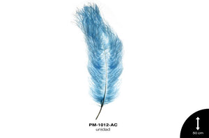 PLUMA AVESTRUZ CUERPO GDE / OSTRICH DRAB 20"" - UP AZUL CELE