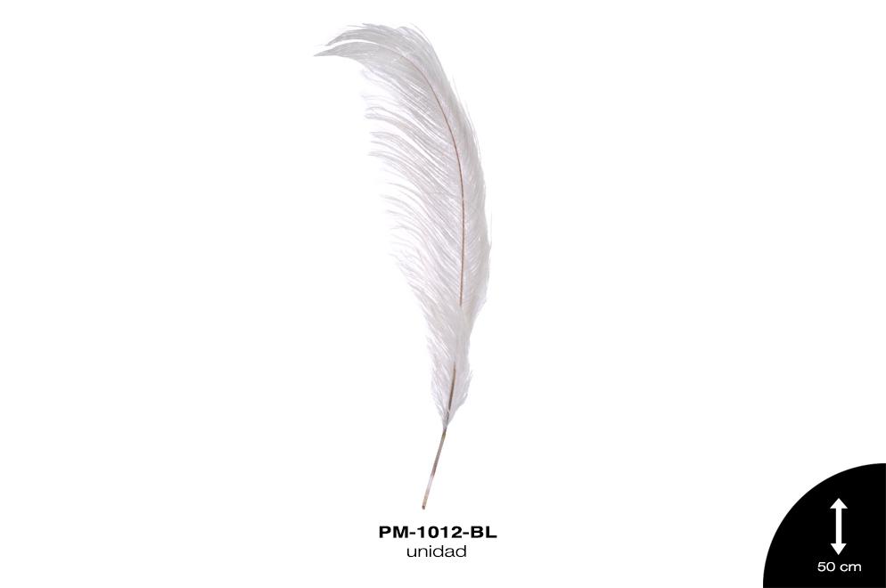 PLUMA AVESTRUZ CUERPO GDE / OSTRICH DRAB 20"" - UP BLANCO un