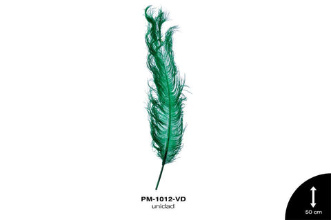 PLUMA AVESTRUZ CUERPO GDE / OSTRICH DRAB 20"" - UP VERDE uni