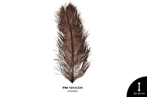 PLUMA AVESTRUZ CUERPO CH / OSTRICH DRAB 14"" - 16"" CHOCOLAT