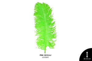 PLUMA AVESTRUZ CUERPO CH / OSTRICH DRAB 14"" - 16"" LIMON un