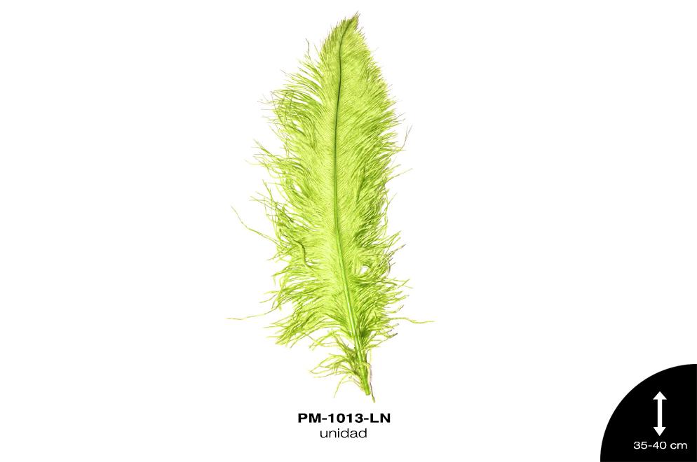 PLUMA AVESTRUZ CUERPO CH / OSTRICH DRAB 14"" - 16"" LIMON NE