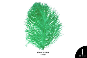 PLUMA AVESTRUZ CUERPO CH / OSTRICH DRAB 14"" - 16"" VERDE un