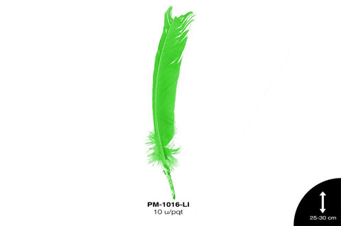 PLUMA PAVO ALA REF: 10""-12"" LIMON 10 u/pqt