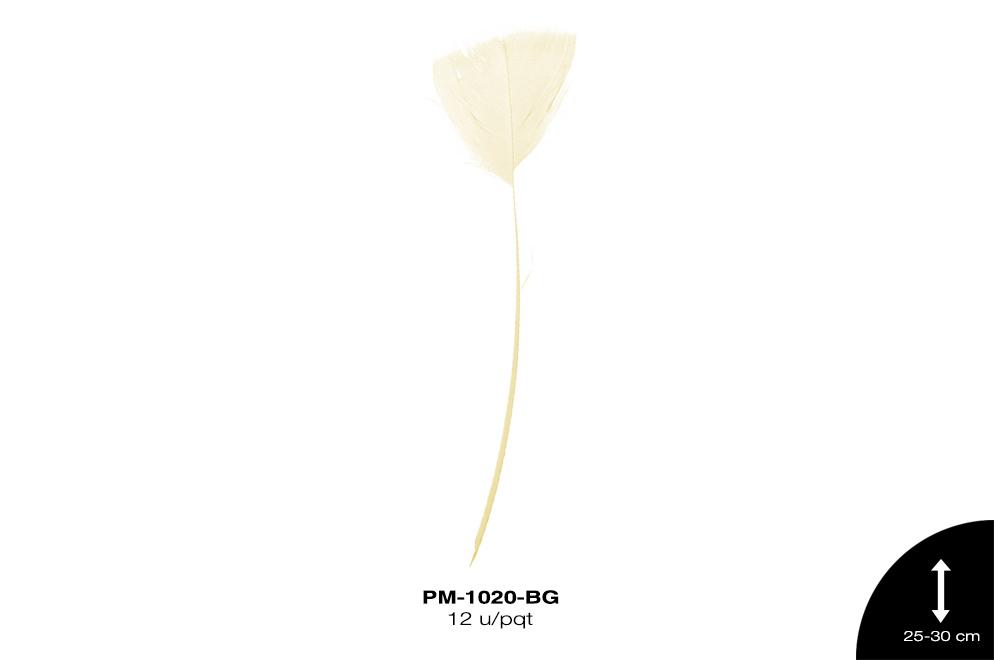 PLUMA PAVO ANTENA REF: 10""-12"" BEIGE 12 u/pqt