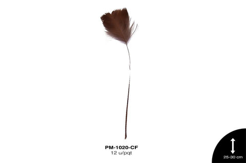 PLUMA PAVO ANTENA REF: 10""-12"" CAFÉ 12 u/pqt