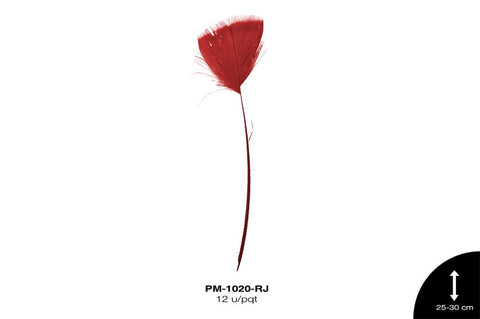 PLUMA PAVO ANTENA REF: 10""-12"" ROJO 12 u/pqt