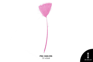 PLUMA PAVO ANTENA REF: 10""-12"" ROSA 12 u/pqt