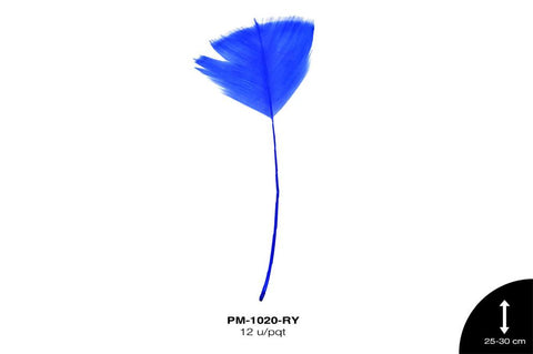 PLUMA PAVO ANTENA REF: 10""-12"" AZUL REY 12 u/pqt