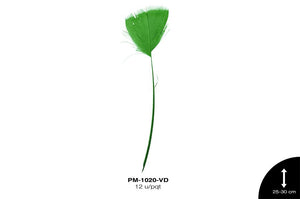 PLUMA PAVO ANTENA REF: 10""-12"" VERDE 12 u/pqt