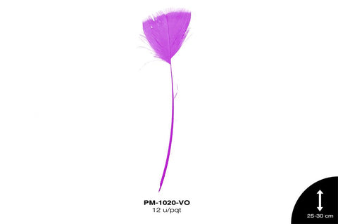 PLUMA PAVO ANTENA REF: 10""-12"" VIOLETA 12 u/pqt