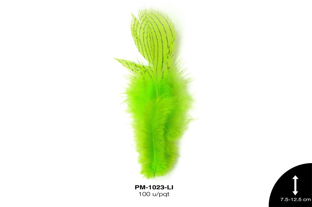 PLUMA RAYAS 3""-5"" LIMON 100 u/pqt