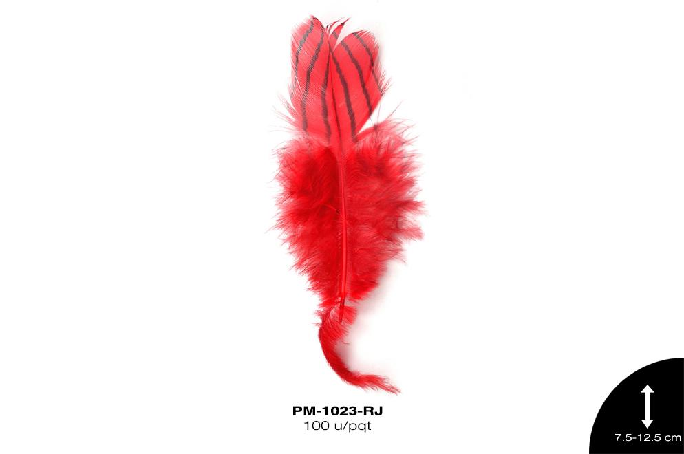 PLUMA RAYAS 3""-5"" ROJO 100 u/pqt