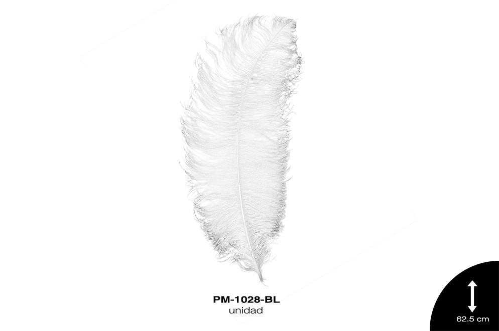 PLUMA AVESTRUZ CUERPO JUMBO / OSTRICH DRAB 25"" - UP BLANCO