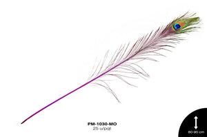 PLUMA OJO DE PAVO REF: 80-90cm MORADO 25 u/pqt