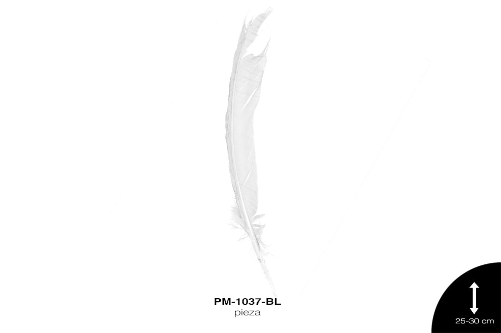 PLUMA PAVO ALA REF: 10""-12"" BLANCO/UNIDAD