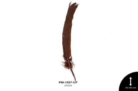 PLUMA PAVO ALA REF: 10""-12"" CAFE/UNIDAD