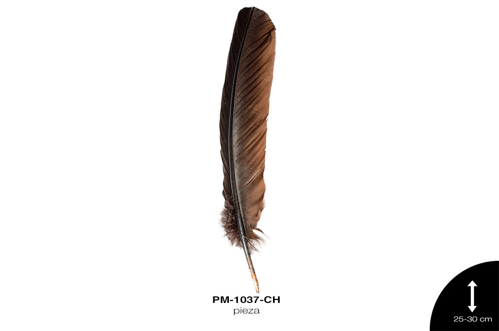 PLUMA PAVO ALA REF: 10""-12"" CHOCOLATE/UNIDAD