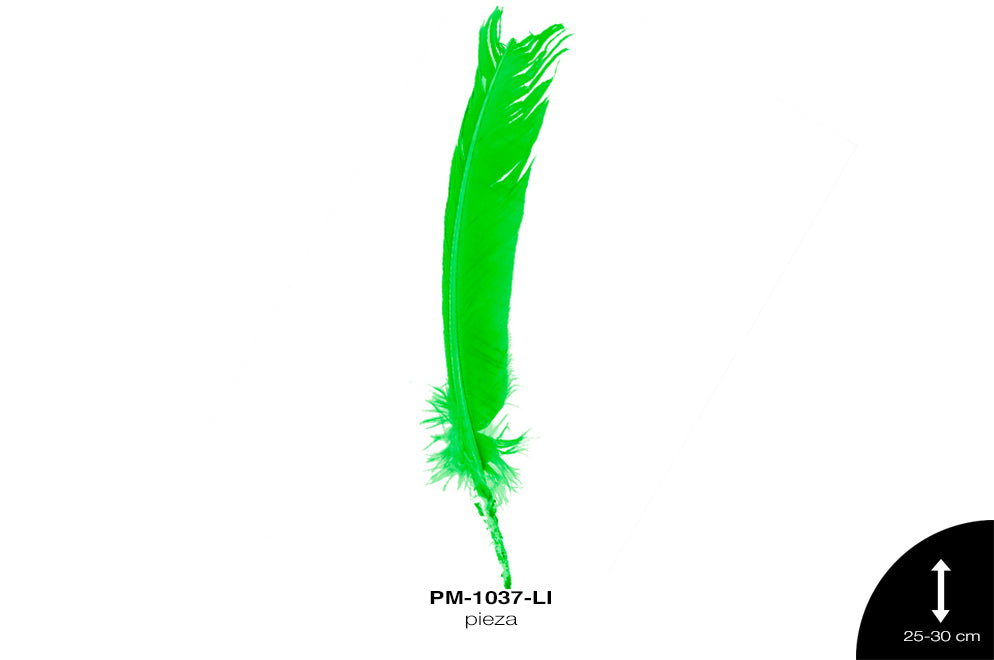 PLUMA PAVO ALA REF: 10""-12"" LIMON/UNIDAD