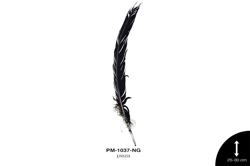 PLUMA PAVO ALA REF: 10""-12"" NEGRO/UNIDAD